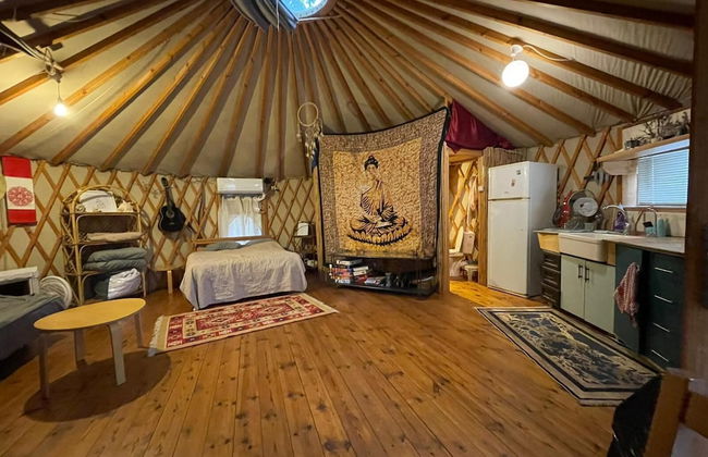 Yurt Located in a Little oak Grove - Foto 4