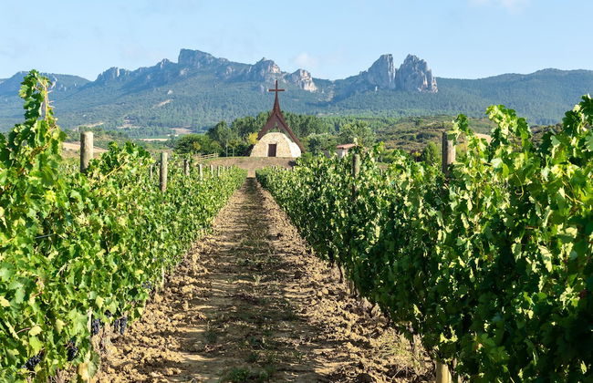 Apartamentos Casalarreina - Photo 50