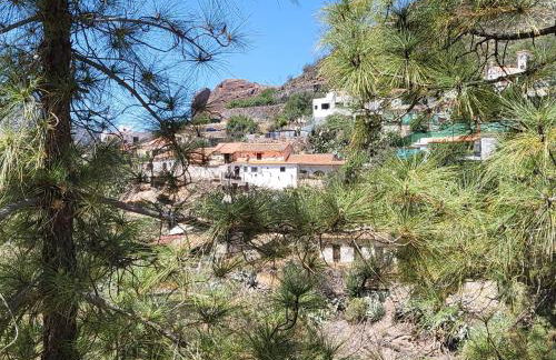 Casa Rural LOS PINARES El Juncal de TEJEDA - Foto 25