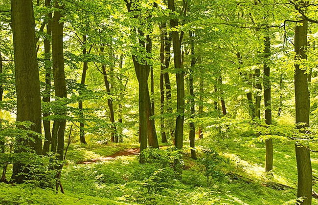 6 Person Holiday Home in Ullared-by Traum - Foto 16