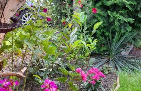 Hory Opawskie - Foto 25