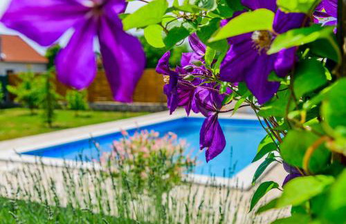 Sunny house - Foto 70