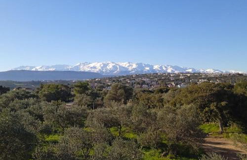 Manolo s olive farm, apartment with seaview - Foto 7