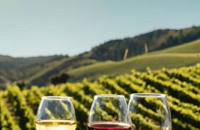 La Storia Ripatransone - Foto 41