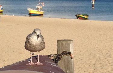Sopot Beach House - Foto 10