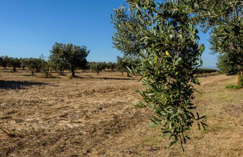 Agriturismo Casale San Benedetto - Foto 61