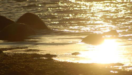 Ostsee Ferienoase 3-Raum-App./Typ 1 - Foto 3