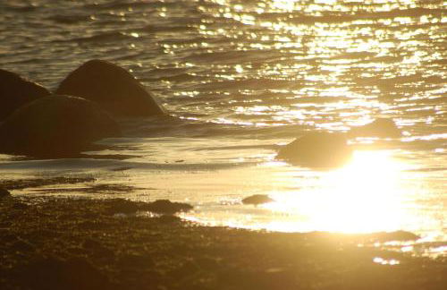 Ostsee-Ferienoase-3-Raum-App-Typ-1 - Foto 3