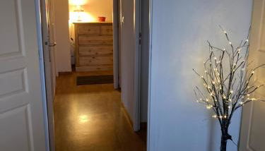 Appartement LA MARMOTTE DU DEVOLUY - Photo 5