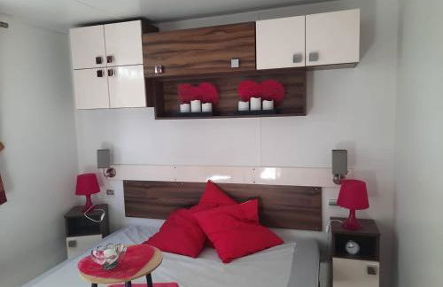 Mobil-home 3 pièces à Dolus-d'Oléron - Capacité 4 personnes - FR-1-246A-120 - Foto 12