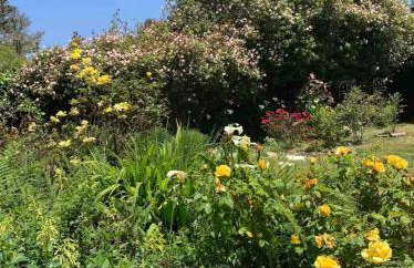 Sal's Beach Cottage Retreat - Foto 33