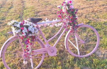 Kuća za odmor Kod Celića - Foto 12