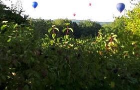 Villa LA FOUGASSE avec piscine - Foto 25