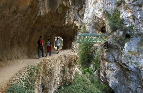 Apartamentos El Castañeu - Foto 45