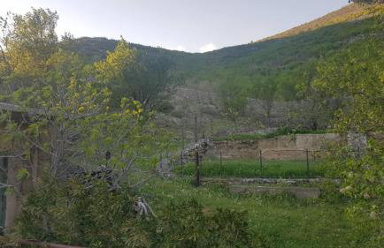 Apartman Milanko - Foto 44