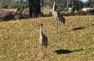 Home away from Home - Photo 24