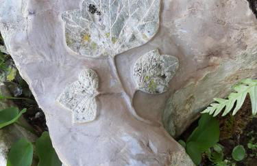 Chou da Covinha - Foto 15