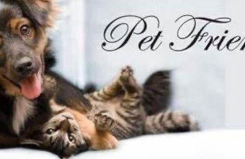 29 Massive 4 bedroom close to the PLAZA - Foto 20