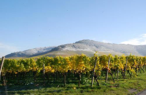 Weingut Ilmbacher Hof - Foto 69