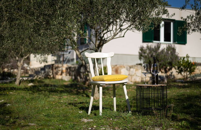 Olive Eden - Foto 40