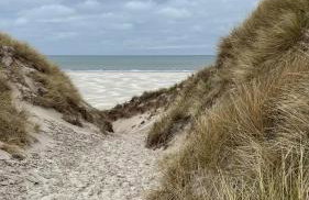 Amrum Lounge - Stilvolle Ferienwohnung mit Gartenidylle - Foto 10