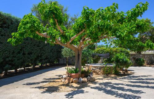 Villa Vicanti - Foto 67