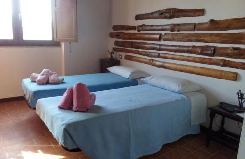 L'Albero degli Struzzi - Foto 31