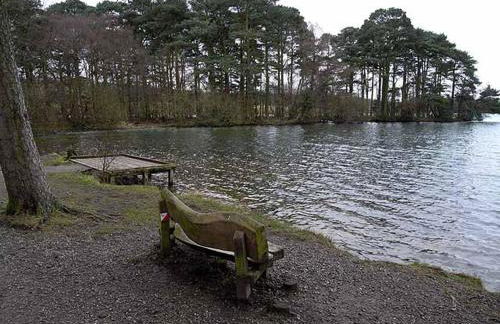 Cottage - Sleeps 3 hot tub & pet friendly - Foto 21