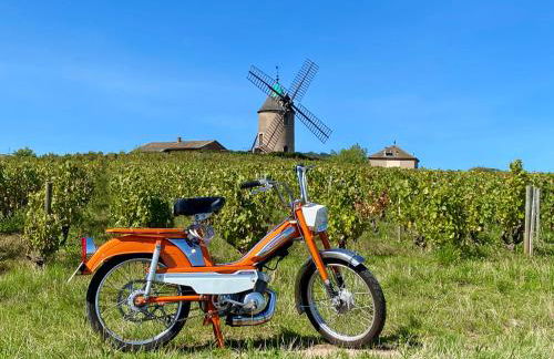 Château des Janroux - Foto 79