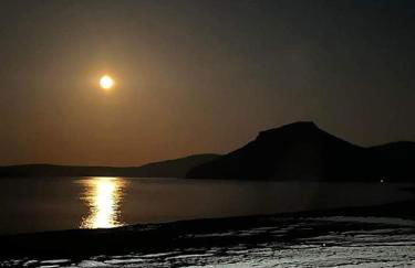 Emmy Villa - Photo 36