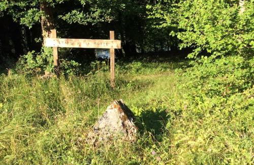 Gîte nature - 4 personnes à Signy-le-Petit - Foto 37