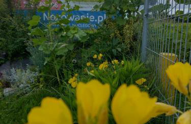 Domki Brzozówka w Bieszczadach - Foto 13