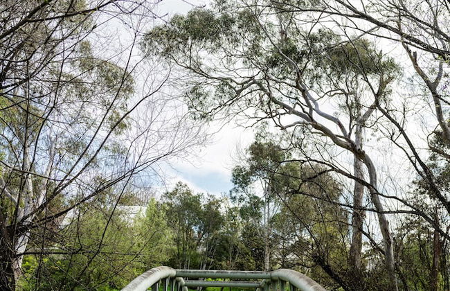 Hepburn Bathhouse & Spa Villas - Photo 74