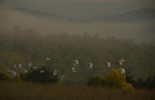Agriturismo La Casetta del Sole - Photo 40