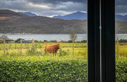 Croft 11 Clovullin - Photo 12