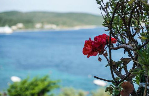 Alexandra's Glifa Apartments - Foto 19