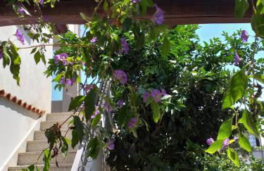 Il Lentischio holiday home - Foto 32