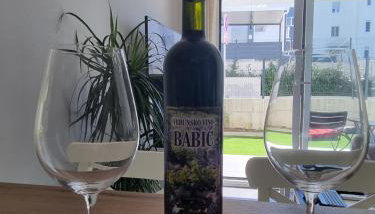 Apartman Smilja - Foto 2