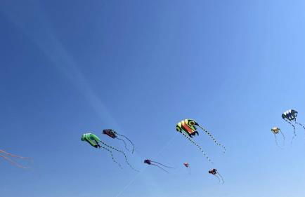 Wohnung 3 - b43246 - Foto 24