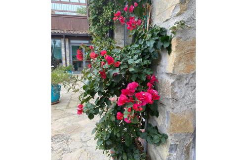 Foresteria San Leo - Foto 21