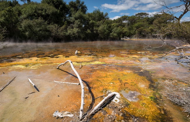 Cosy Cottage Thermal Holiday Park - Foto 47