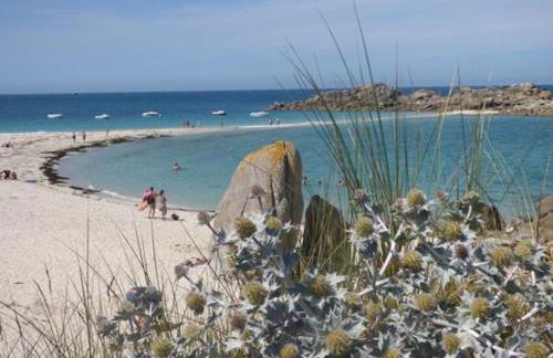 Molene 200 m plage et port - Foto 35