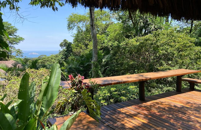 Rainforest Paradise - Foto 21