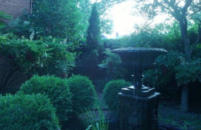 Garden Oasis Near Downtown - Photo 29