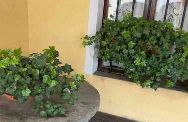 Appartamento “Sut l’Ala” - Foto 52