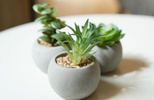 101-freiburg - Photo 46