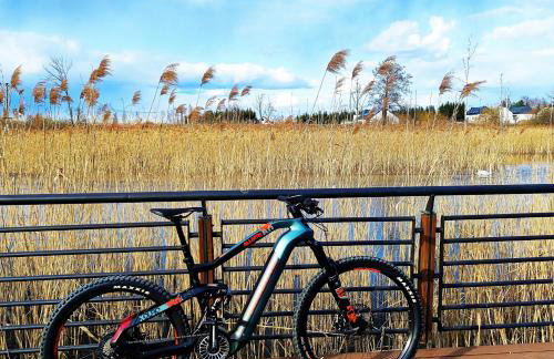 FoRest Longinówka - las, jezioro, parking, Netflix i Prime, TV55" - Foto 37