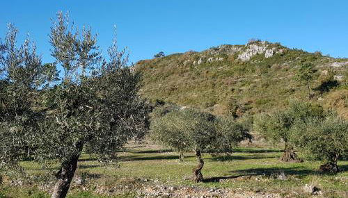 Casa Das Oliveiras - Foto 3