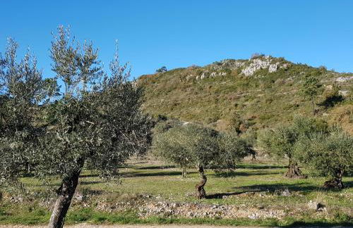 Casa Das Oliveiras - Foto 3