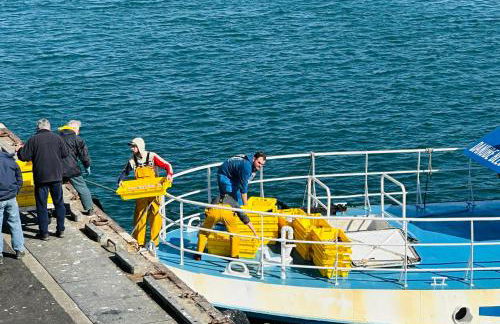 Appartement Design VIII - Port Rosmeur - Sublime vue Mer - Parking - Foto 30